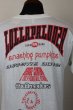 画像5: 90'S "LOLLAPALOOZA'1994" VINTAGE TOUR T-SHIRTS (5)