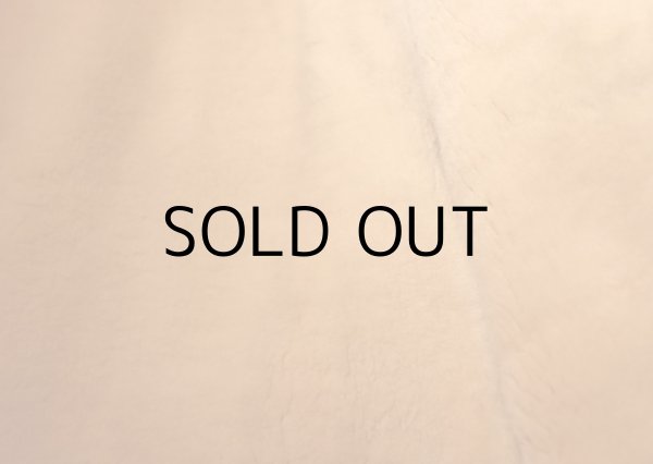 画像11: 50'S "WINDWARD" VINTAGE LEATHER CAR COAT (11)